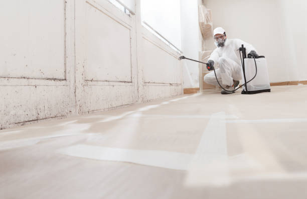 24/7 Emergency Mold Removal experts in Union City, PA
